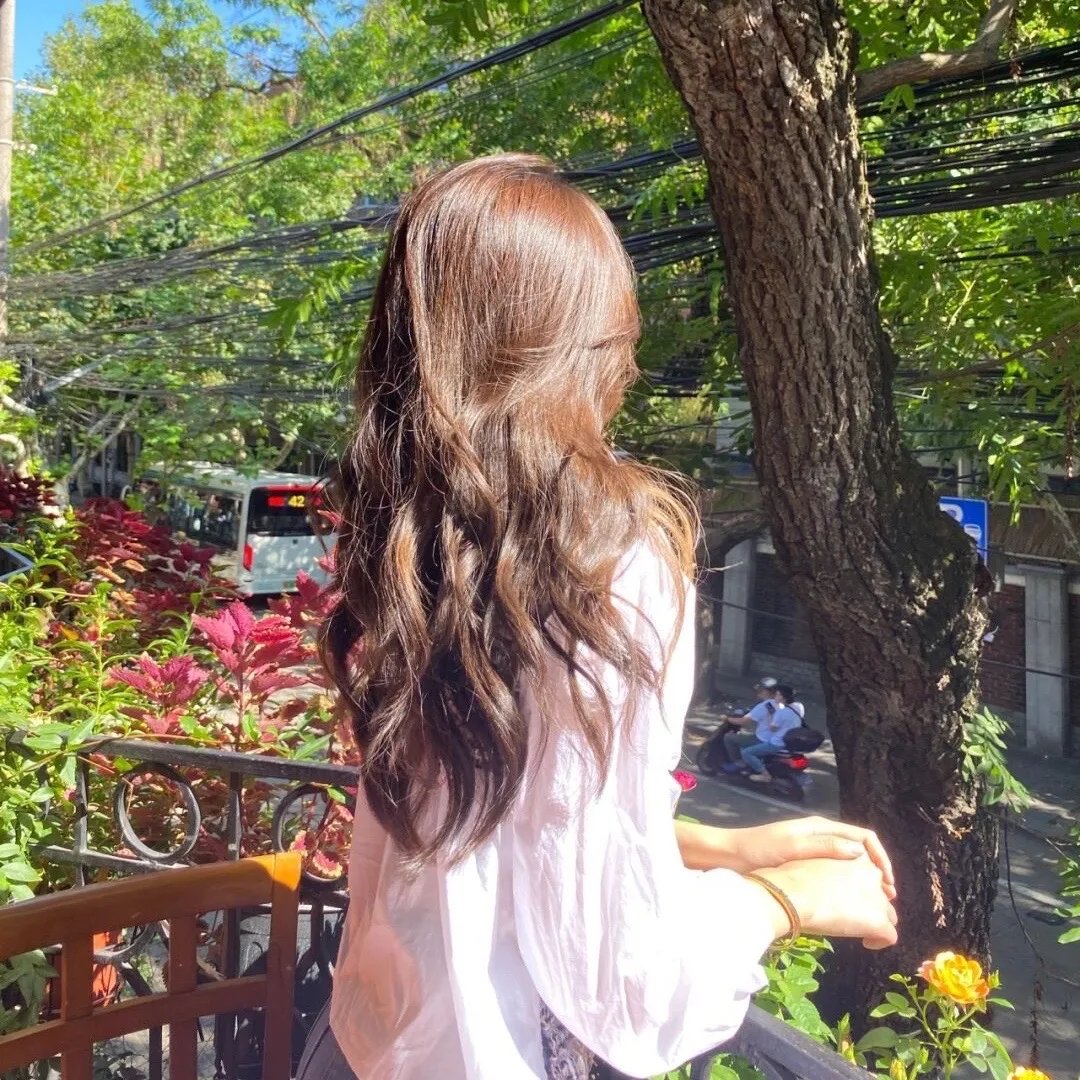 春天之旅