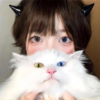 猫狗大战2