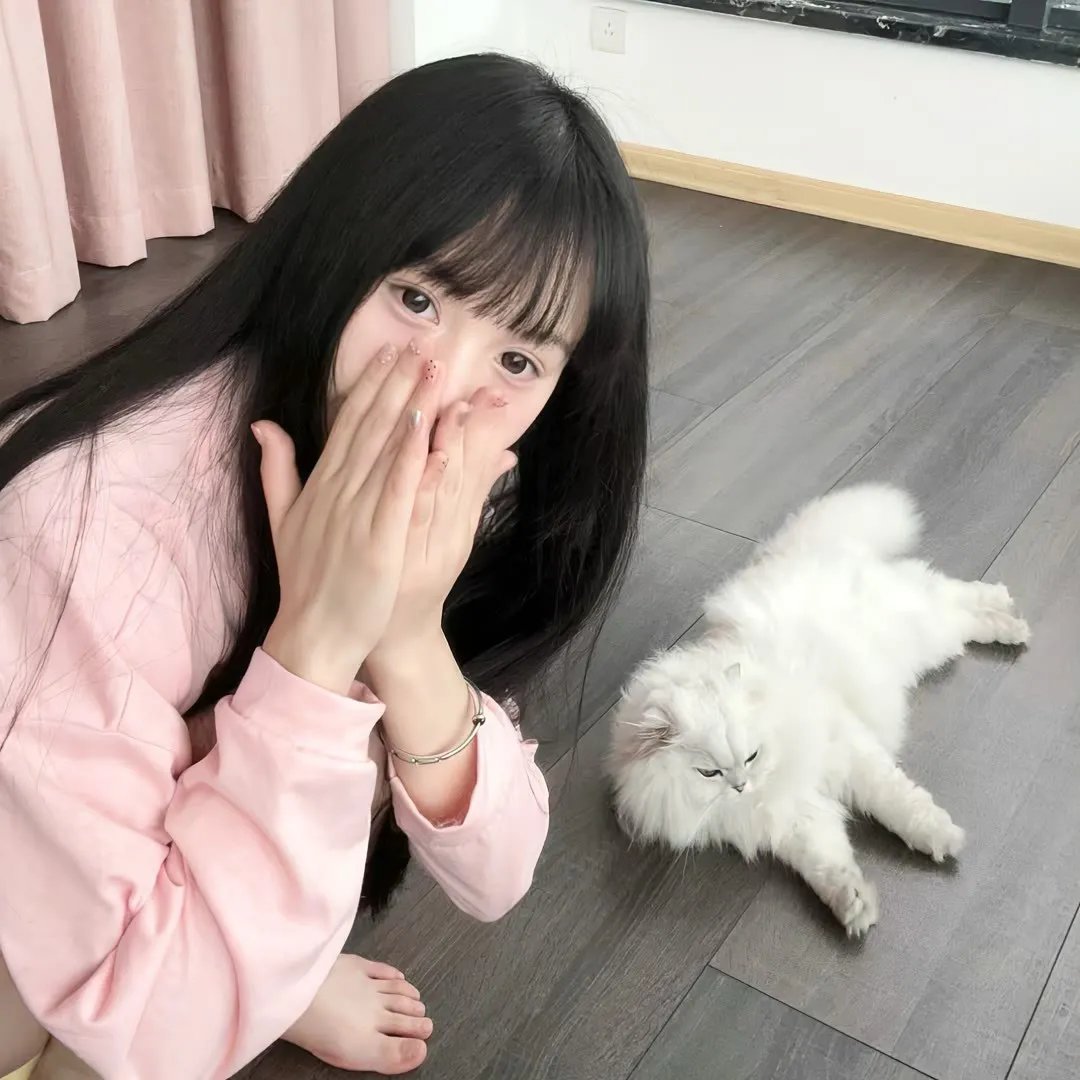 费里布朗