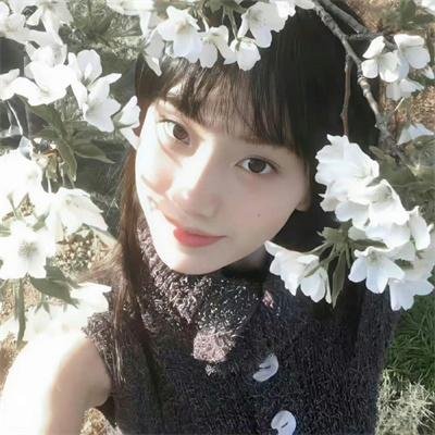 水星领航员第一季